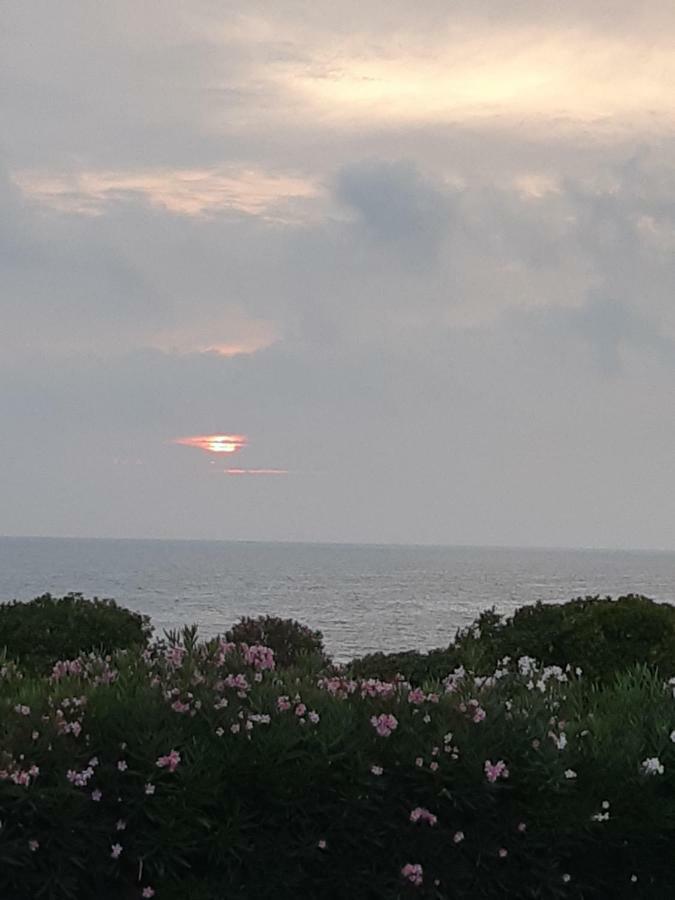 Guest House Al Mare 奇维塔韦基亚 外观 照片